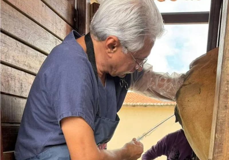 Soluções em Reprodução Bovina - Miniatura 2