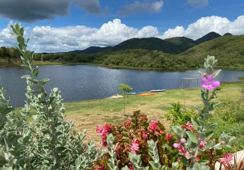 Excelente Propriedade Rural à Venda - Região Serrana do Ceará, com 335 hectares - Miniatura 4