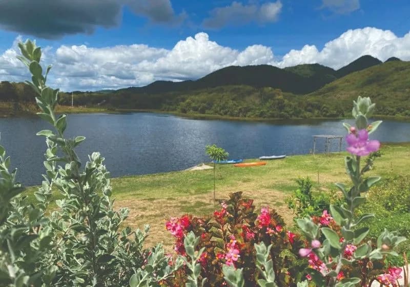 Excelente Propriedade Rural à Venda - Região Serrana do Ceará, com 335 hectares - Miniatura 5