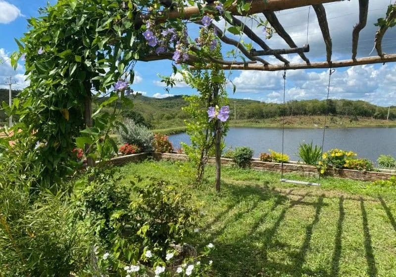 Excelente Propriedade Rural à Venda - Região Serrana do Ceará, com 335 hectares - Miniatura 6