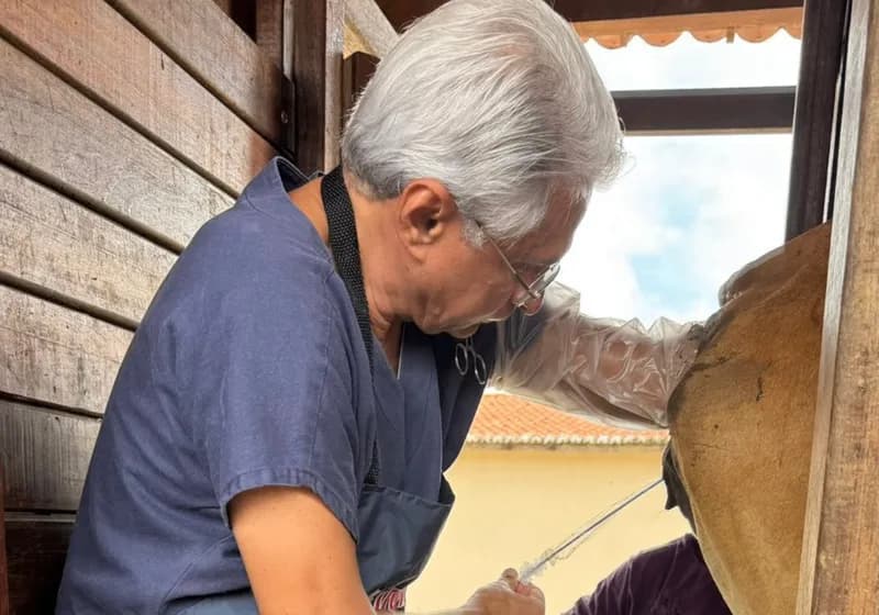 Nordeste Embrio | Soluções em Reprodução Bovina - Miniatura 2