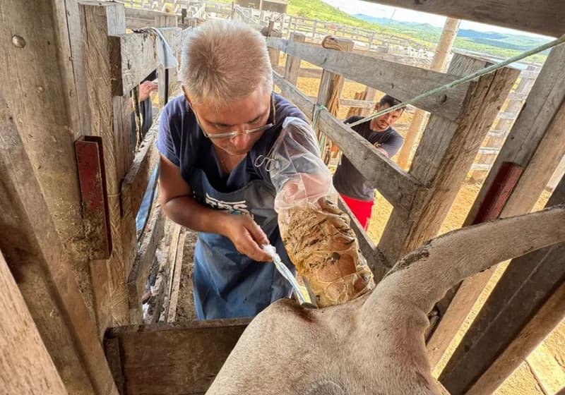Nordeste Embrio | Soluções em Reprodução Bovina - Miniatura 3