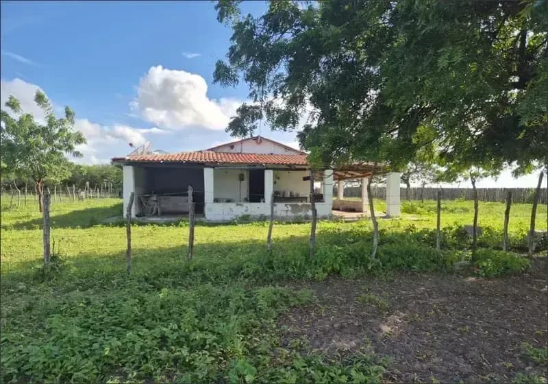 Fazenda — 470 Hectares com Outorga de Água