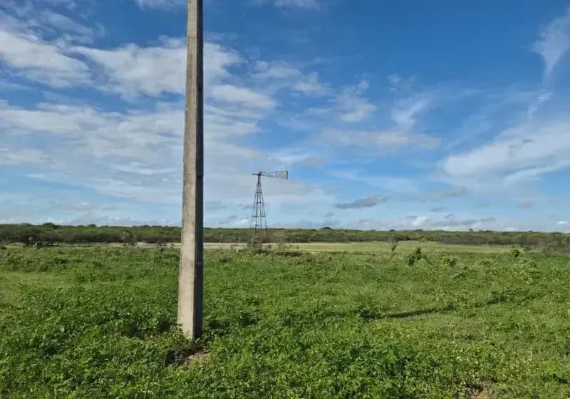 Fazenda — 470 Hectares com Outorga de Água - Miniatura 3