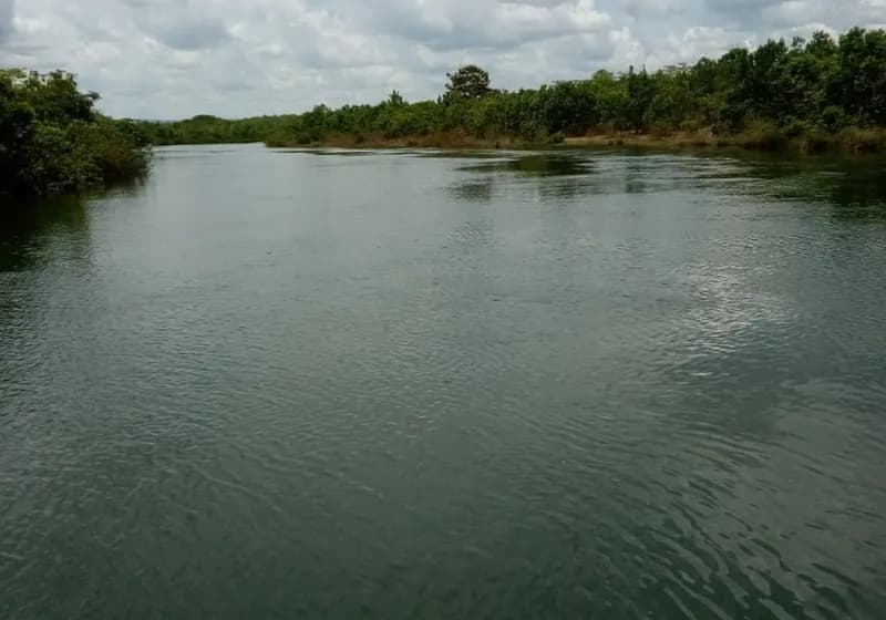 500 Alqueires em Dianópolis Tocantins
