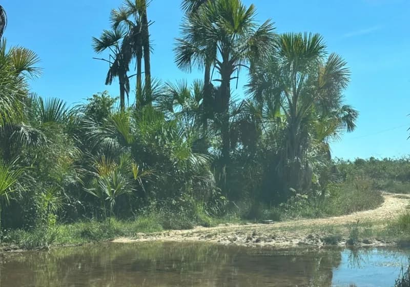 Fazenda de 397 Alqueires em Novo Acordo - TO