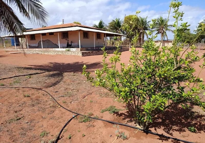 Propriedade Rural a Beira-Mar em Areia Branca - RN