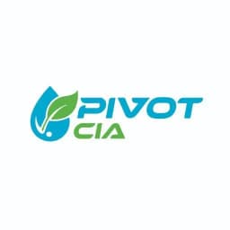 Pivot