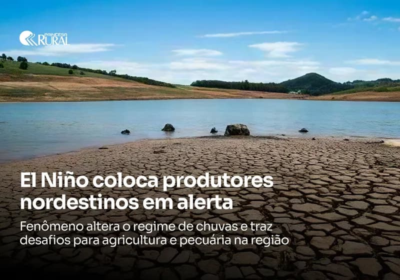 El Niño coloca produtores do Nordeste em alerta para a safra 2026/27  
