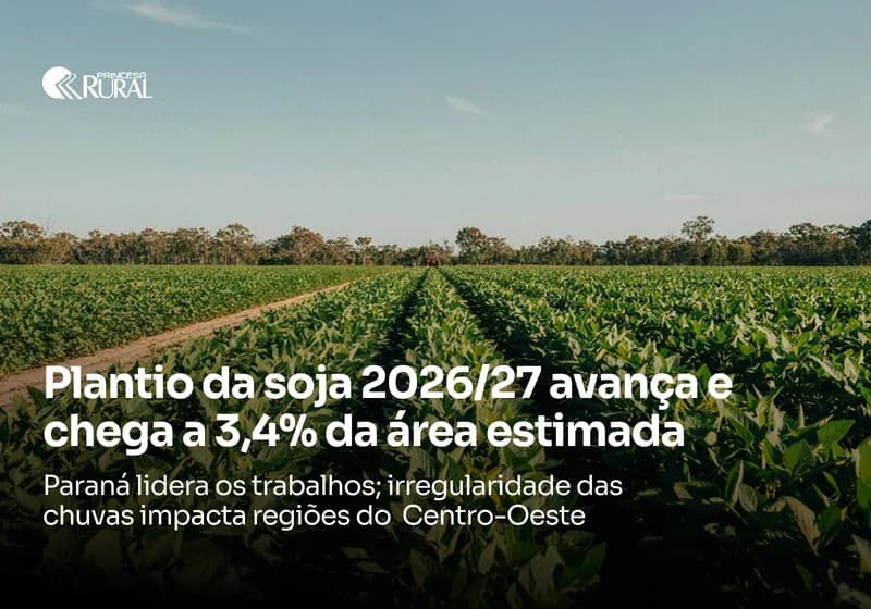 PLANTIO DA SOJA 2026/27 AVANÇA E CHEGA A 3,4% DA ÁREA ESTIMADA