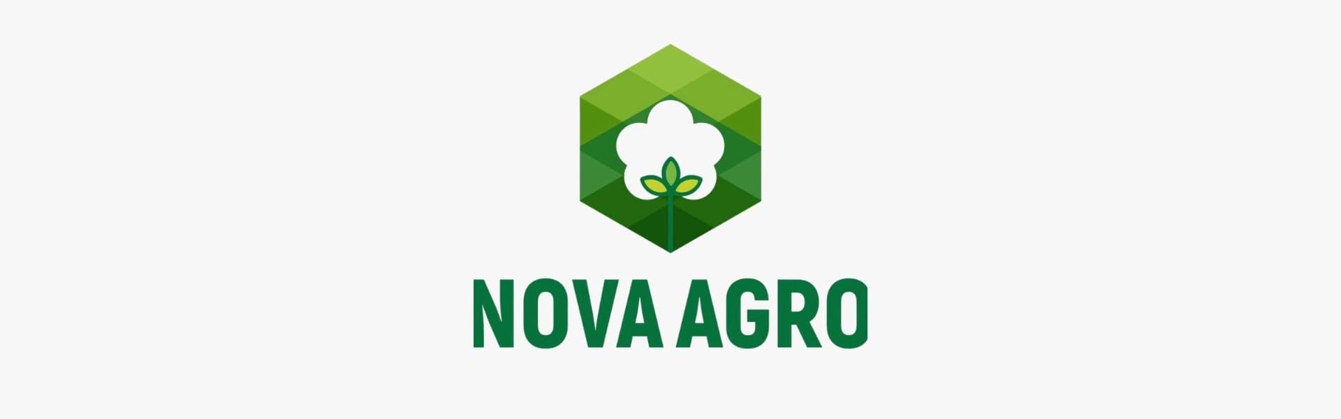 NOVA AGRO AGROPECUARIA LTDA